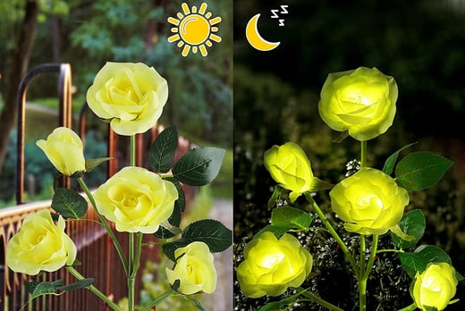 Solar-rose-light-8
