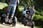 Segway Experience for 2 - 14 Locations