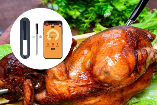 wireless-smart-meat-thermometer-1