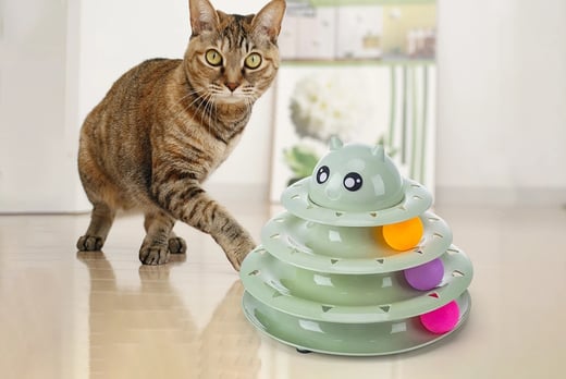 CATTOY-1