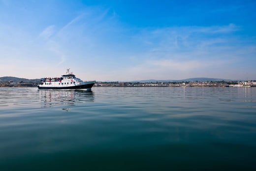 Choice of Dublin Bay Cruise for 2, 3 or 4 People 