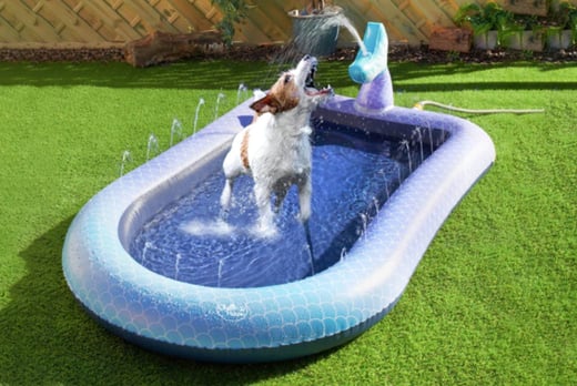 Pet-Splash-Pool-1