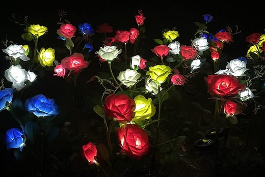 light up solar flowers