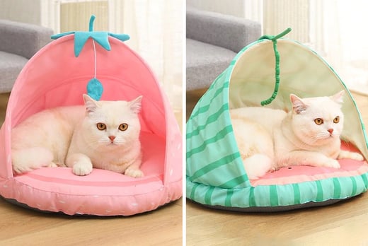 Novelty-Fruit-Style-Cat-Dog-Pet-Bed-1