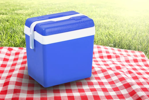 24-Litre-Insulated-Cool-Box-lead-image