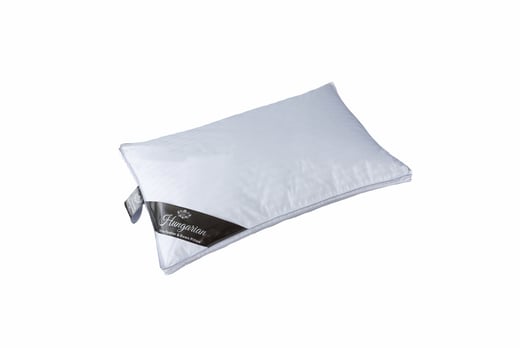 Hungarian-Goose-Feather-&-Down-Pillows-google-image