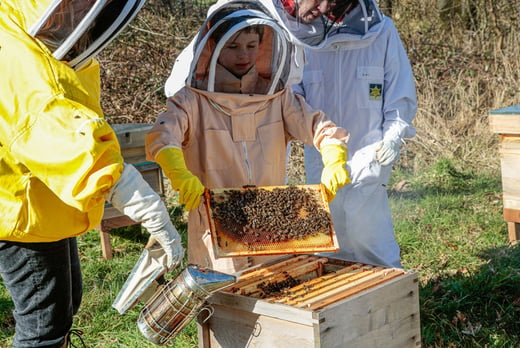 Bee-Farm-New