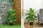 Artificial-Evergreen-Plant-Realistic-Fake-1