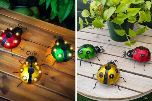 Cute-Ladybug-Garden-Solar-Lights-1