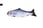 Interactive-Electric-USB-Fish-Cat-Toy-4