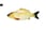 Interactive-Electric-USB-Fish-Cat-Toy-5
