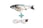 Interactive-Electric-USB-Fish-Cat-Toy-10