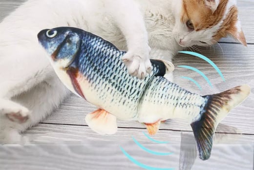 Interactive-Electric-USB-Fish-Cat-Toy-1