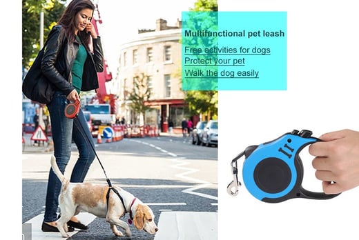 Kouye Dog Leash Flexible Pulling Rope Automatic Retractable Pet Pulling Leash Pet Leashes 3/5m 