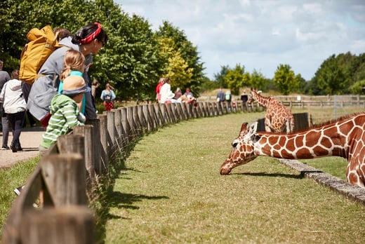 Tickets to Barnham Zoo – Infant, Child, Adult and Concession