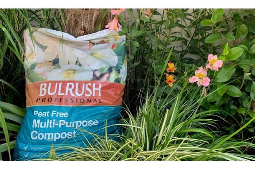 Bulrush Garden Compost - 40L, 60L or 80L Bag - Wowcher