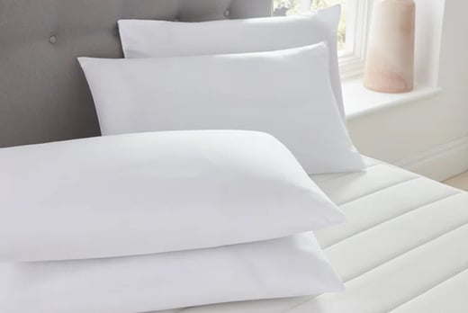 BB-Pillow-50x75-2