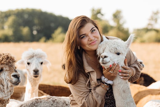 Alpaca Experience for 4 People – Two Hours – Hampshire