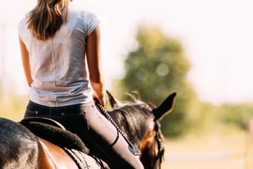 1-Hr Group Horse Riding Lesson for 1 - Classes for up to 5 People 