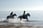 Beach Horse Ride For 1 or 2 - Brittas Bay 