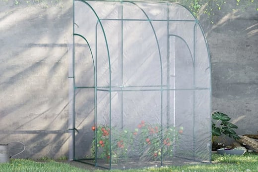 Outdoor-Walk-In-Tunnel-Greenhouse-1