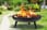 IRELAND-23inch-IRON-FIRE-PIT-1