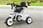 _Toddler-Plastic-Three-Wheel-Tricycle-4
