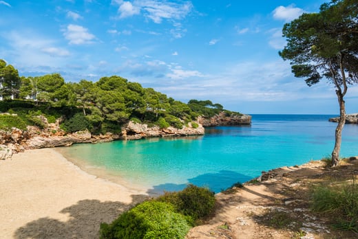 Mallorca, Spain All Inclusive Holiday & Flights - Wowcher