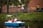 Pedal Boat Hire: 60 Mins for Family of Five on Grand Canal, Dublin