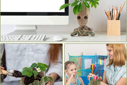 Baby Groot Inspired Plant - Wowcher
