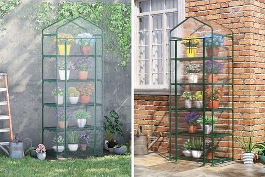 Wooden-Outdoor-Greenhouse-for-Plants-1