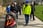 Walking Tour: Introduction to Killarney 1-Hour for 1