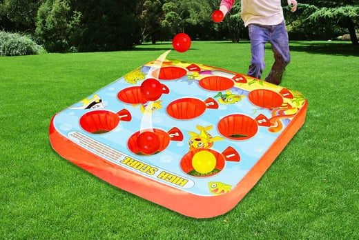 2-in-1 Inflatable Target Ball Game Deal - Wowcher