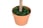 Artificial-Olive-Tree-Plant-4