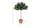 Artificial-Olive-Tree-Plant-10