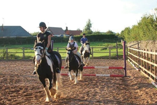 Own-A-Pony Experience Day | Derby