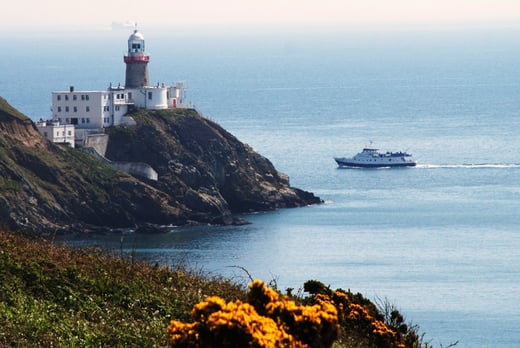 Choice of Dublin Bay Cruise For 2, 3 or 4 People - 2 Route Options