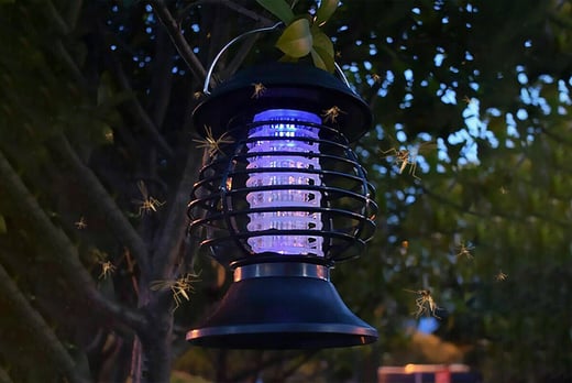 Outdoor Solar Power Mosquito Killer Lamp Fly Trap with Ground Spike-1