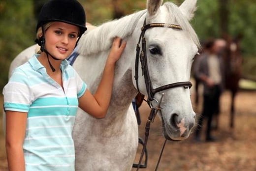 Private Horse Riding Lessons - Leeds - Wowcher