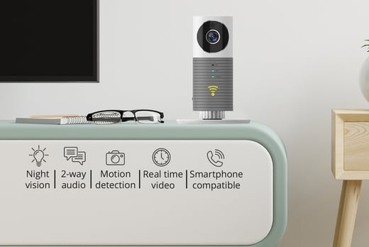 clever dog motion detection