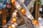 _5meters-LED-Bunny-String-Lights-2