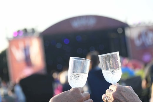 Yorkshire Wildlife Park & Summer Wild Live Concert - Sheffield - Wowcher