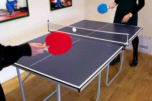 Table-Tennis-Table-1