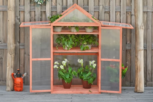 Wooden-frame-Greenhouse-1