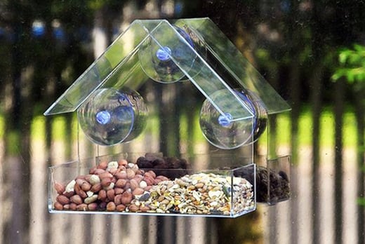 Clear Window Suction Bird Feeder Shop Livingsocial