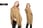 Hooded Tassel Pullover Knitted Sweater Cloak Shawl-3