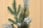 Artificial-Snow-Dipped-Christmas-Tree-6