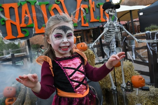 Yorkshire Wildlife Park: The Curse Of Halloween - Sheffield - Wowcher