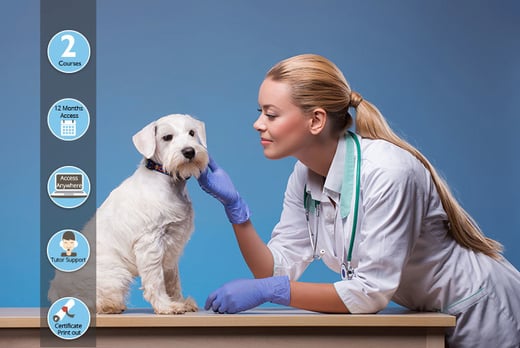 veterinary-assistant-animal-nursing-courses-wowcher