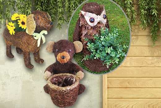 Novelty Animal Planter - 5 Designs | Manchester